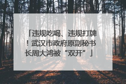 违规吃喝、违规打牌！武汉市政府原副秘书长周大鸿被“双开”