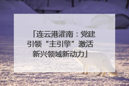 连云港灌南：党建引领“主引擎”激活新兴领域新动力