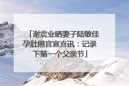 谢震业晒妻子陆敏佳孕肚照官宣喜讯：记录下第一个父亲节