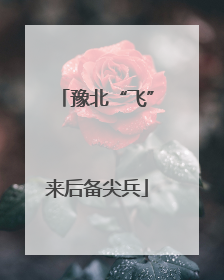 豫北“飞”来后备尖兵