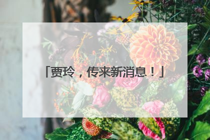 贾玲，传来新消息！