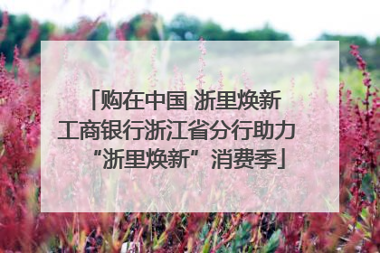 购在中国 浙里焕新 工商银行浙江省分行助力“浙里焕新”消费季
