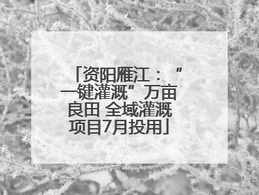 资阳雁江：“一键灌溉”万亩良田 全域灌溉项目7月投用