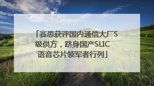 赛思获评国内通信大厂S级供方，跻身国产SLIC语音芯片领军者行列