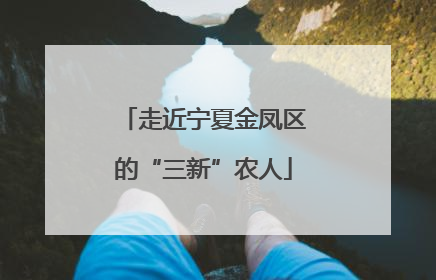 走近宁夏金凤区的“三新”农人
