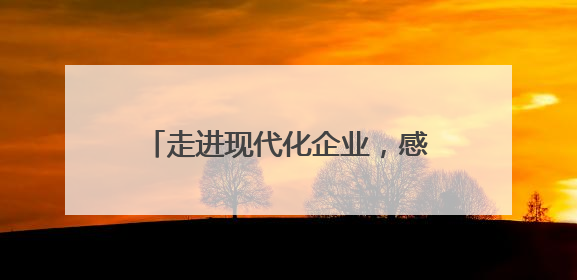 走进现代化企业，感受智造新未来！华侨大学学生来洛观摩实践