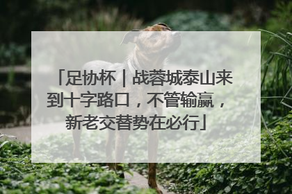足协杯｜战蓉城泰山来到十字路口，不管输赢，新老交替势在必行