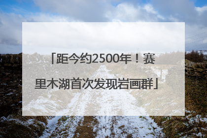 距今约2500年！赛里木湖首次发现岩画群