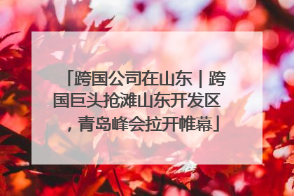 跨国公司在山东｜跨国巨头抢滩山东开发区，青岛峰会拉开帷幕