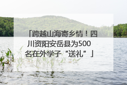 跨越山海寄乡情！四川资阳安岳县为500名在外学子“送礼”
