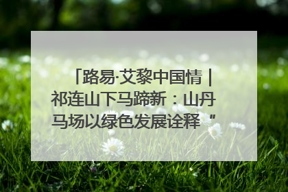 路易·艾黎中国情｜祁连山下马蹄新：山丹马场以绿色发展诠释“两山”理论实践
