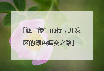 逐“绿”而行，开发区的绿色嬗变之路