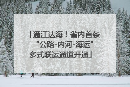 通江达海！省内首条“公路-内河-海运”多式联运通道开通