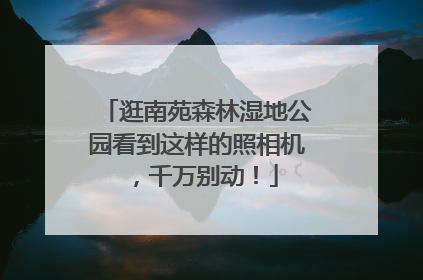 逛南苑森林湿地公园看到这样的照相机，千万别动！