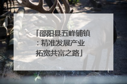 邵阳县五峰铺镇：精准发展产业 拓宽共富之路