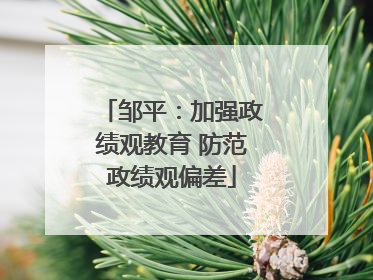邹平：加强政绩观教育 防范政绩观偏差