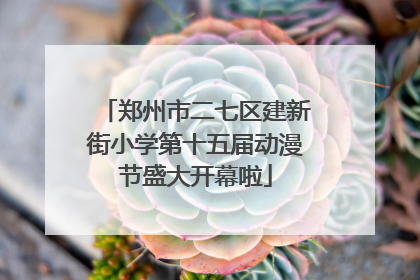 郑州市二七区建新街小学第十五届动漫节盛大开幕啦