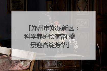 郑州市郑东新区：科学养护绘荷韵 盛景迎客绽芳华
