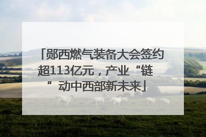 郧西燃气装备大会签约超113亿元，产业“链”动中西部新未来