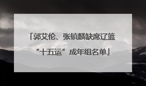 郭艾伦、张镇麟缺席辽篮“十五运”成年组名单