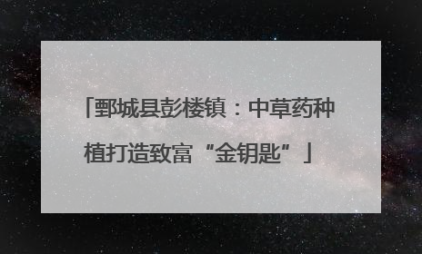 鄄城县彭楼镇：中草药种植打造致富“金钥匙”