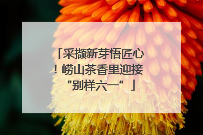 采撷新芽悟匠心！崂山茶香里迎接“别样六一”