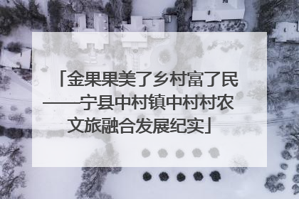 金果果美了乡村富了民——宁县中村镇中村村农文旅融合发展纪实