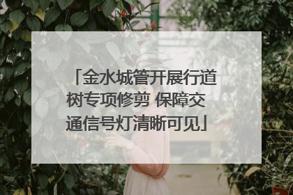 金水城管开展行道树专项修剪 保障交通信号灯清晰可见