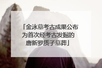 金泳墓考古成果公布 为首次经考古发掘的唐新罗质子墓葬