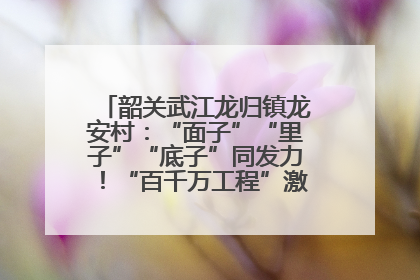 韶关武江龙归镇龙安村：“面子”“里子”“底子”同发力！“百千万工程”激活乡村新动能