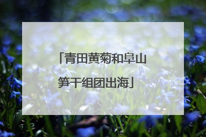 青田黄菊和阜山笋干组团出海