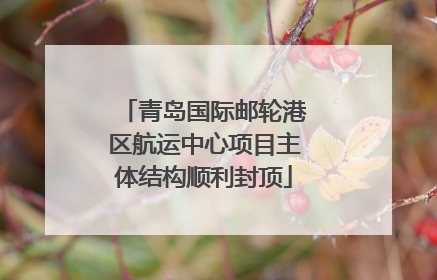 青岛国际邮轮港区航运中心项目主体结构顺利封顶
