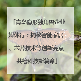 青岛隐形独角兽企业媒体行：揭秘智能家居、芯片技术等创新亮点 共绘科技新篇章