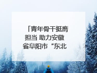 青年骨干挺膺担当 助力安徽省阜阳市“东北大外环”建设