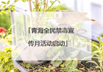 青海全民禁毒宣传月活动启动