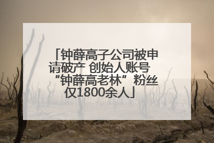钟薛高子公司被申请破产 创始人账号“钟薛高老林”粉丝仅1800余人