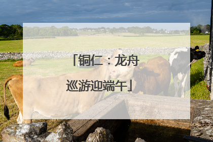 铜仁：龙舟巡游迎端午