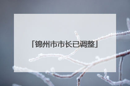 锦州市市长已调整