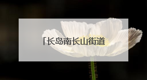 长岛南长山街道社区联动为儿童编织五彩记忆