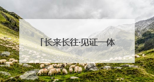 长来长往·见证一体化丨11个月“智慧渔场”下水，这就是“通州湾速度”！