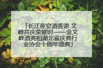 长江夜宴酒香浓 文峰共庆荣耀时——金文峰酒亮相湖北省庆典行业协会十周年盛典