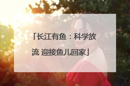 长江有鱼：科学放流 迎接鱼儿回家