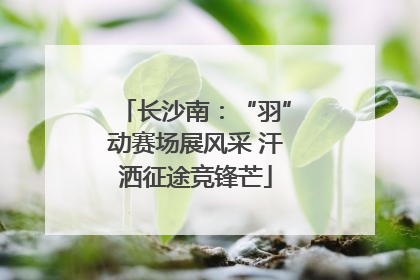 长沙南：“羽”动赛场展风采 汗洒征途竞锋芒