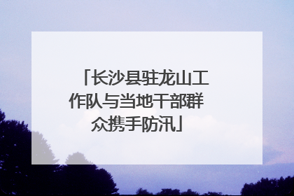 长沙县驻龙山工作队与当地干部群众携手防汛