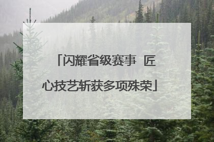 闪耀省级赛事  匠心技艺斩获多项殊荣