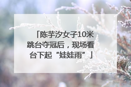 陈芋汐女子10米跳台夺冠后，现场看台下起“娃娃雨”