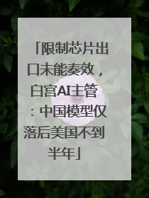 限制芯片出口未能奏效，白宫AI主管：中国模型仅落后美国不到半年
