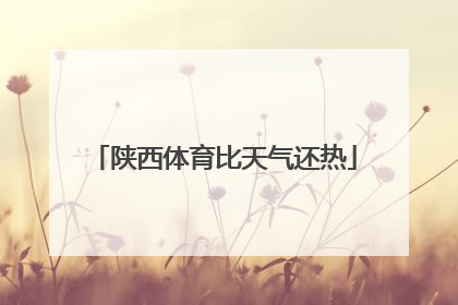 陕西体育比天气还热