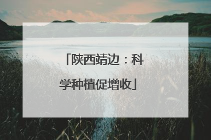 陕西靖边：科学种植促增收