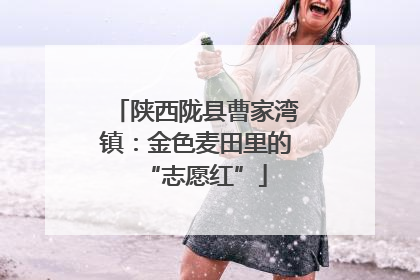 陕西陇县曹家湾镇：金色麦田里的“志愿红”